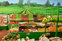 FRUVAR CHIA
