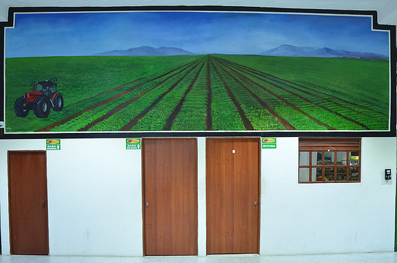 FRUVAR K30